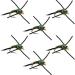 Set of 6 Tungsten Bead Head Copper John Nymph Flies with black, olive, and zebra pattern for trout fishing.