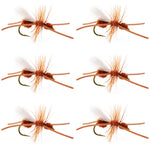 Set of six Turcks Power Flying Ant Cinnamon trout dry flies with size 12 hooks for fly fishing.