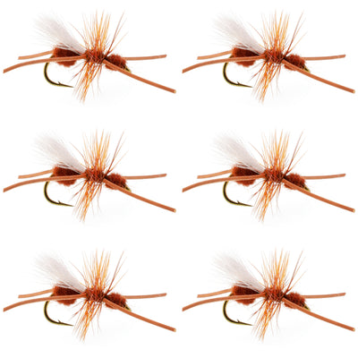 Set of six Turcks Power Flying Ant Cinnamon trout dry flies with size 12 hooks for fly fishing.
