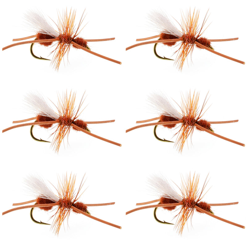 Set of six Turcks Power Flying Ant Cinnamon trout dry flies with size 12 hooks for fly fishing.