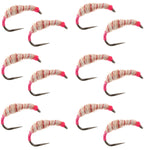 Set of 12 Utah Killer Bug Tenkara Kebari flies in size 10, designed for fly fishing, with detailed nymph pattern and vibrant colors.