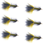 Set of six Olive Black Bead Head Crystal Woolly Bugger streamer flies for fly fishing, size 8, with black and olive color patterns.