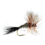 A dozen Ausable Wulff Classic Dry Flies for trout fishing, size 14, with detailed feather and hook features.