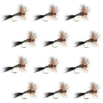 Set of 12 Ausable Wulff Classic dry flies for trout fishing, size 14, by The Fly Fishing Place, mounted on hooks.