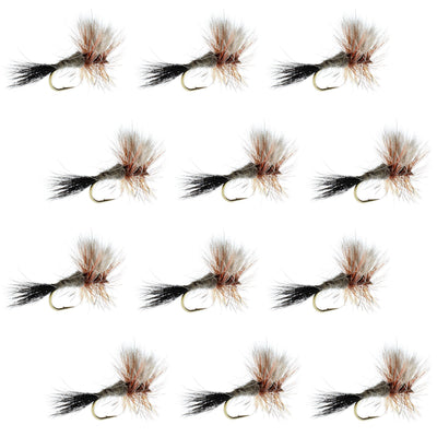 Set of 12 Ausable Wulff Classic dry flies for trout fishing, size 14, by The Fly Fishing Place, mounted on hooks.