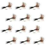 Set of 12 Ausable Wulff Classic Dry Flies for trout fishing, hook size 10, from The Fly Fishing Place, featuring realistic dry fly designs.