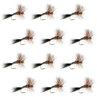 Set of 12 Ausable Wulff Classic Dry Flies for trout fishing, hook size 10, from The Fly Fishing Place, featuring realistic dry fly designs.
