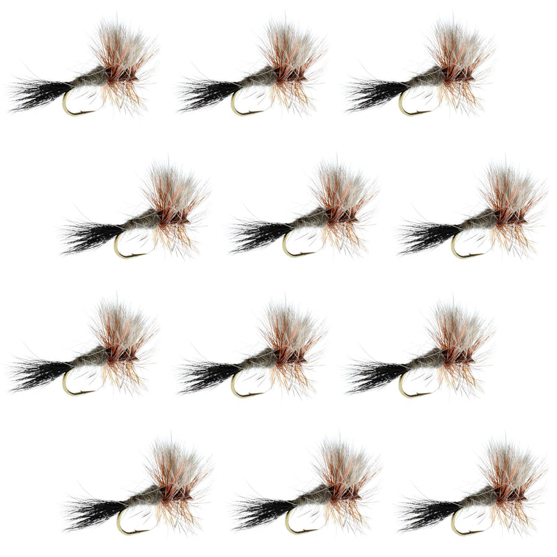 Set of 12 Ausable Wulff Classic Dry Flies for trout fishing, hook size 10, from The Fly Fishing Place, featuring realistic dry fly designs.