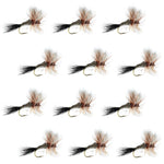 Set of 12 Ausable Wulff Classic Dry Fly fishing flies for trout, size 12, by The Fly Fishing Place, featuring realistic dry fly hooks.