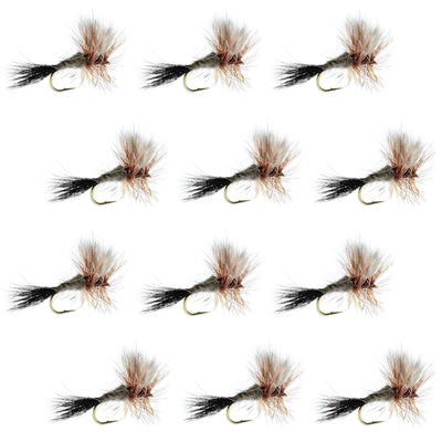 Set of 12 Ausable Wulff Classic Dry Fly fishing flies for trout, size 12, by The Fly Fishing Place, featuring realistic dry fly hooks.