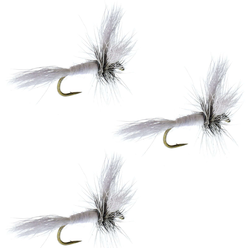 Set of three barbless white Wulff Classic Hair Wing dry flies with size 10 hooks for fly fishing.