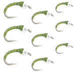 Olive zebra midge trout wet flies in sizes 14, 16, and 18 for tailwater fly fishing collection by The Fly Fishing Place.
