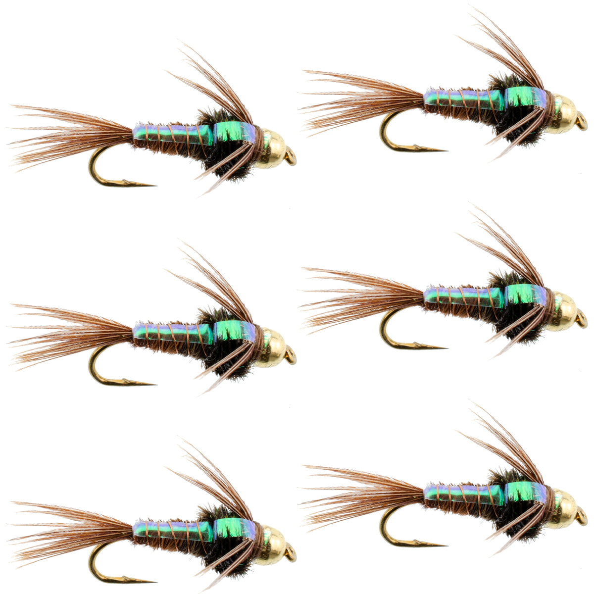 Six Bead Head Flash Back Pheasant Tail Nymph flies for trout fishing, size 12, featuring detailed pheasant tail and bead head design.