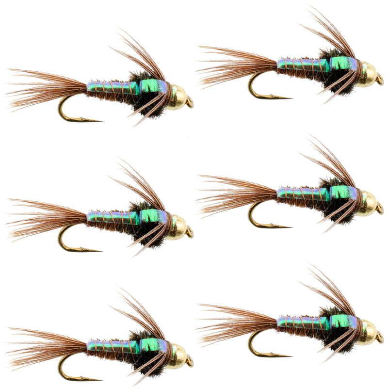 Six Bead Head Flash Back Pheasant Tail Nymph flies for trout fishing, size 12, featuring detailed pheasant tail and bead head design.
