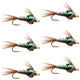 Bead Head Flash Back Pheasant Tail Nymph Fly Fishing Flies - 6 Flies Hook Size 18