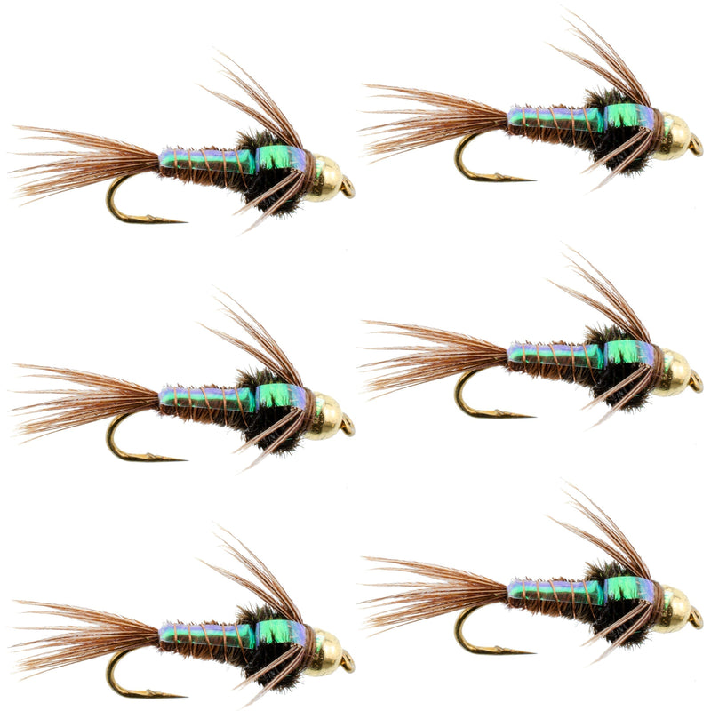 Set of 6 Bead Head Flash Back Pheasant Tail Nymph trout wet flies with size 18 hooks for fly fishing.