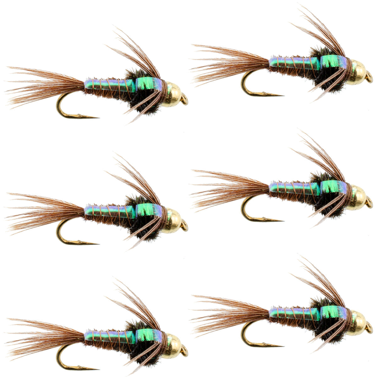 Six Bead Head Flash Back Pheasant Tail Nymph flies for trout fishing, size 16, with detailed pheasant tail and bead head hooks.
