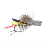Assorted trout fishing flies in a clear fly box, including dry and nymph patterns from The Fly Fishing Place, 24-piece collection.