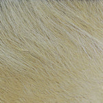 Arctic Fox fly tying material in natural fur, used for crafting fishing lures, displayed in a close-up image.