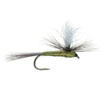 Three blue wing olive BWO parachute dry flies with hooks size 16, designed for trout fishing, in a 3-pack by The Fly Fishing Place.
