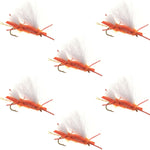 Set of six Chubby Chernobyl Ant orange foam dry flies for trout fishing, size 10 hooks, by The Fly Fishing Place.