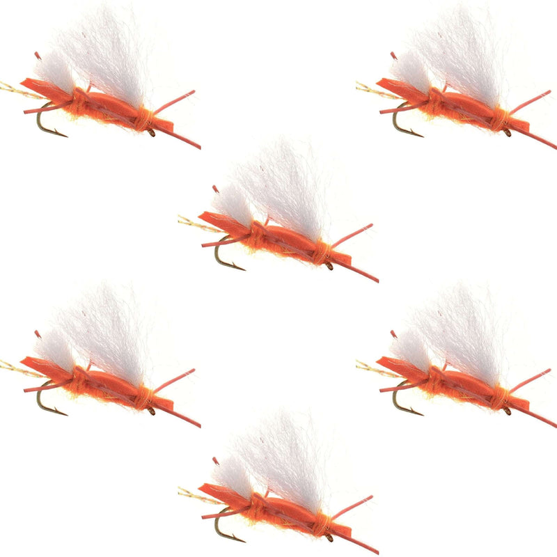 Set of six Chubby Chernobyl Ant orange foam dry flies for trout fishing, size 10 hooks, by The Fly Fishing Place.