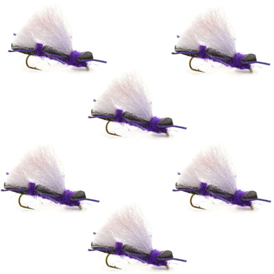 Set of six Chubby Chernobyl Ant purple foam dry flies for trout fishing, size 10, by The Fly Fishing Place.