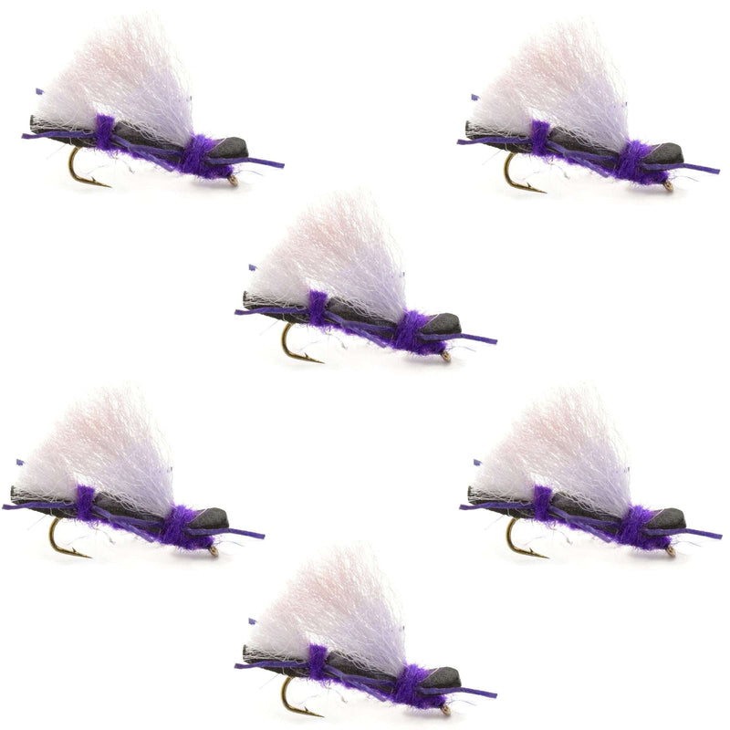 Set of six Chubby Chernobyl Ant purple foam dry flies for trout fishing, size 10, by The Fly Fishing Place.