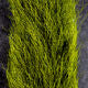 Clouser's Fly Shop calf tail fly tying material, natural brown calf hair for fishing lures, shown in image ct263.jpg.