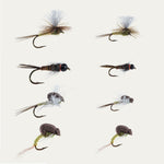Postfly Blue Winged Olive fly pack featuring a variety of Winged Olive bugs for trout fishing.