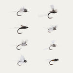 Set of fly fishing flies on a white background