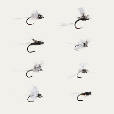 Set of fly fishing flies on a white background