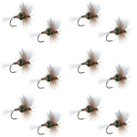 Set of 12 H & L Variant Classic Dry Fly fishing flies for trout, size 12, featuring realistic dry fly hooks by The Fly Fishing Place.
