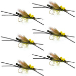 Six Long Tail Skwala Stone Fly Dry Trout Flies on hooks, adult Squalla stonefly dry fly pattern for trout fishing.