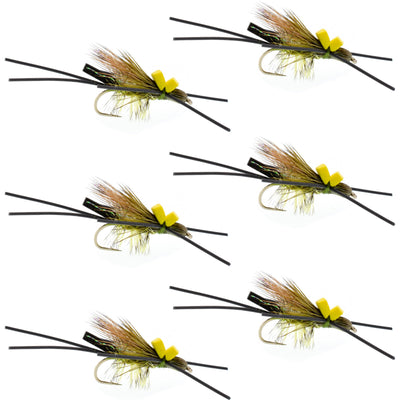 Six Long Tail Skwala Stone Fly Dry Trout Flies on hooks, adult Squalla stonefly dry fly pattern for trout fishing.