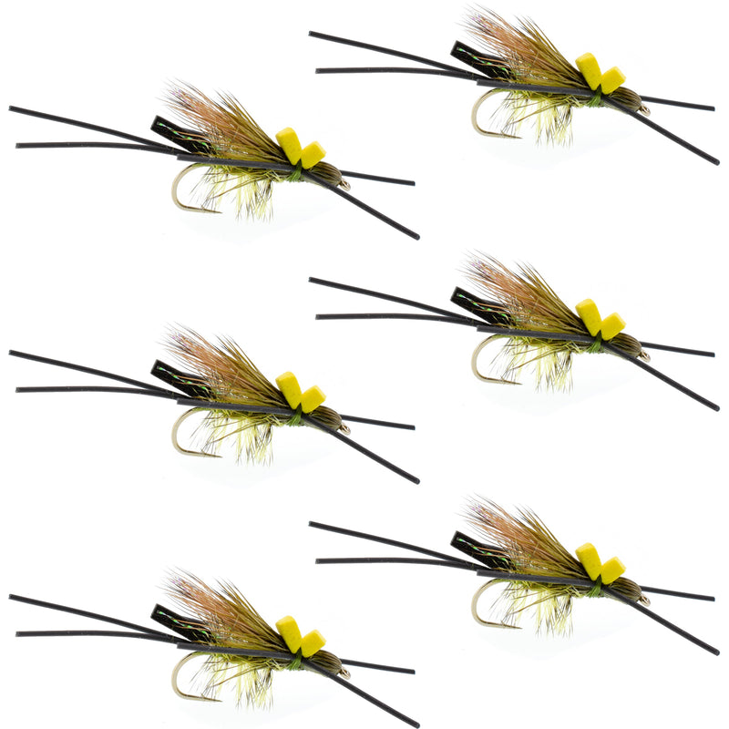 Six Long Tail Skwala Stone Fly Dry Trout Flies on hooks, adult Squalla stonefly dry fly pattern for trout fishing.