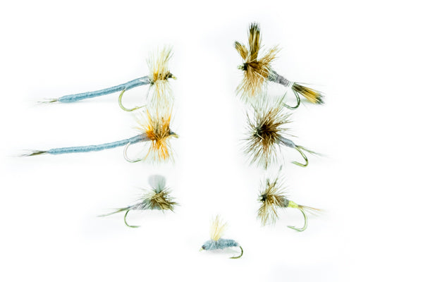 Adams Fly Assortment--24 Flies #1