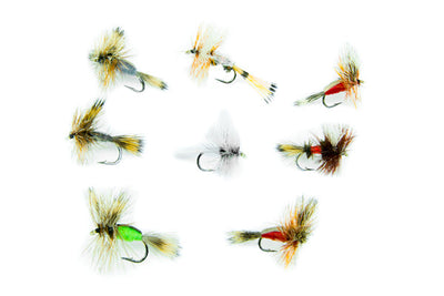 Humpy/Wulff Assortment--24 Flies #31