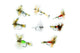 Humpy/Wulff Assortment--24 Flies #31