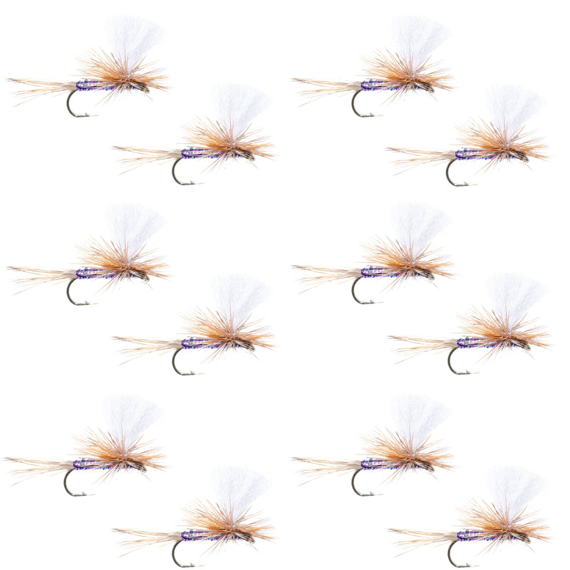 Purple Haze Dry Fly by The Fly Fishing Place, a size 12 trout dry fly with a vibrant purple and flash pattern for fishing success.