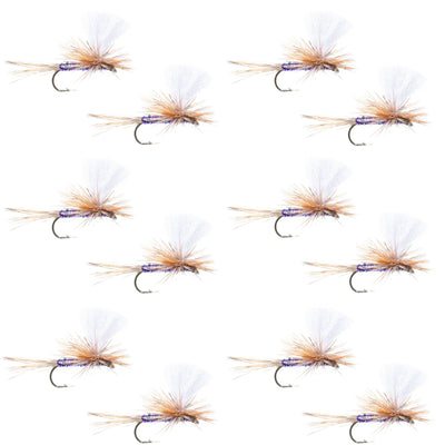 Parachute Super Flash Purple Haze Dry Fly - 12 Flies Size 16