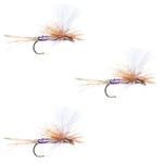 Three purple Haze Super Flash dry flies, size 14, for trout fishing, from The Fly Fishing Place.