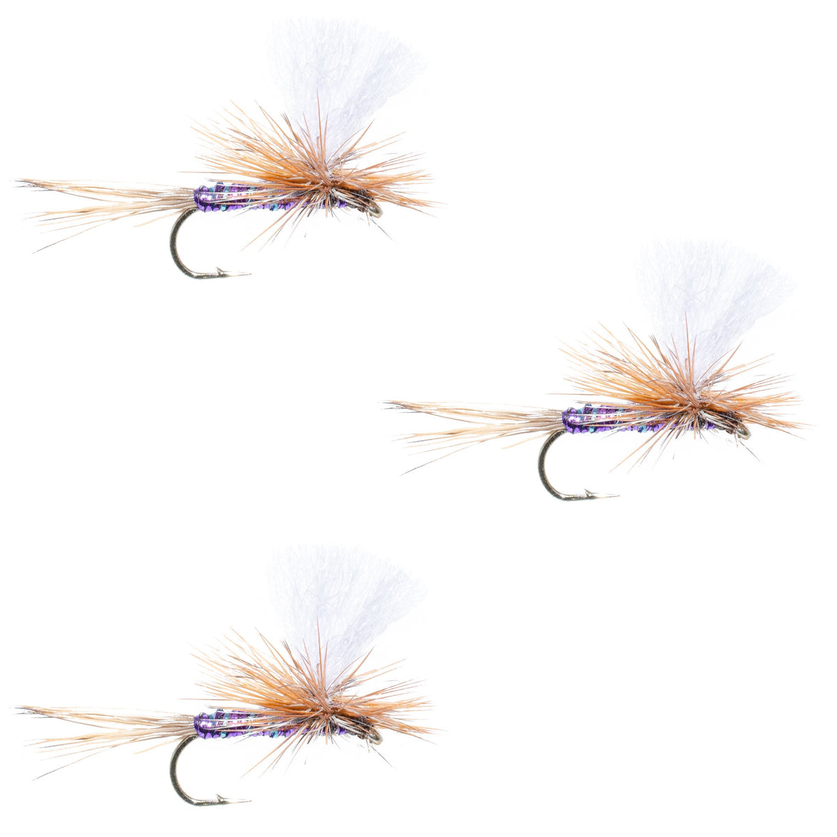 Three Purple Haze Super Flash Dry Flies size 16 for trout fishing, featuring vibrant purple coloration and realistic fly design.