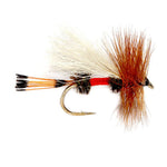 Royal Trude Classic Hair Wing Dry Fly for trout, size 14, with natural feather wings and a metal hook, designed for fly fishing.