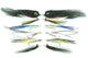 Striper Assortment--12 Flies #53