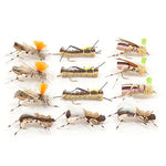 Assorted foam body grasshopper dry flies for trout fishing, part of The Fly Fishing Place terrestrial fly collection.