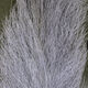 Clouser's Fly Shop calf tail used as fly tying material, showing soft, natural fur and tail fibers for fishing flies.