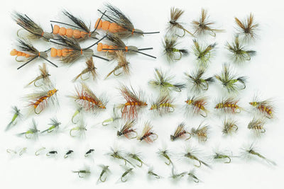 Western Dry Fly Assortment--54 Flies #57