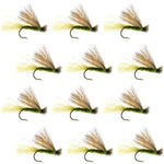 Set of 12 Olive X Caddis dry fly fishing flies with elk hair for trout, size 18, designed for trout angling.