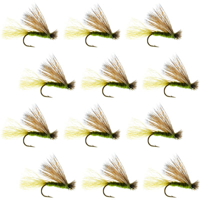 Set of 12 Olive X Caddis dry fly fishing flies with elk hair for trout, size 18, designed for trout angling.